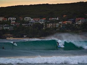 mfsprout 20120507 486