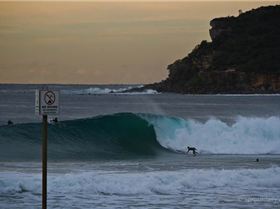 mfsprout 20120507 592