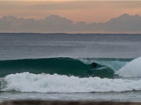 mfsprout 20120507 662