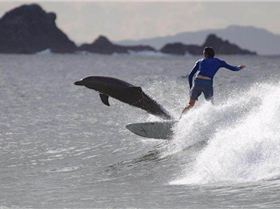 305283 10150359251740909 11071120908 8139279 858616769 n