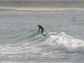 Surfing