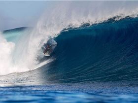 wildcard184fiji12kirstin 660