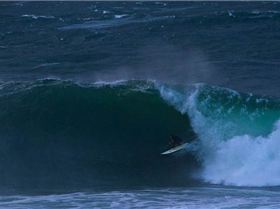 mfsprout 20120606 74