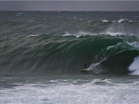 mfsprout 20120606 273