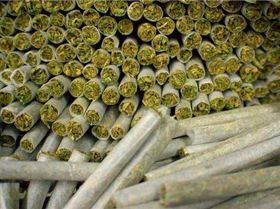 tumblr m7t8e3CShl1qm4iypo1 500