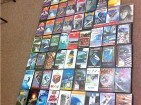 407125 319438368102702 599634400 n