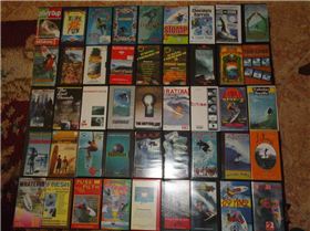 426598 321144144598791 597021131 n