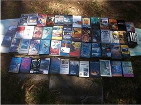 561278 343145312398674 1972228906 n