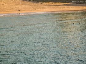 saltmotion IMG 7356 2012 08 29