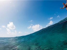 daizegoodwin-goodwinproject-zimmerman-610x361