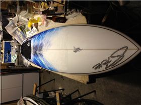 Stone Surf Diamond Tail fish Custom