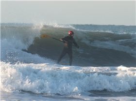 Towball gets a look in