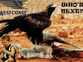 538702 143286879147843 1069604769 n(1)