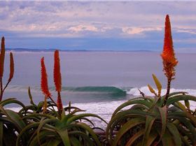 J-Bay South Africa