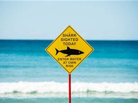 mfsprout 20120924 39