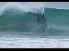 311150 3965725985278 1076770674 n