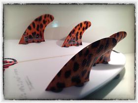 3DFINS "Leopard"