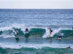 Screen Shot 2012-11-21 at 10.56.49 AM