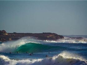 Screen Shot 2012-11-21 at 2.05.38 PM