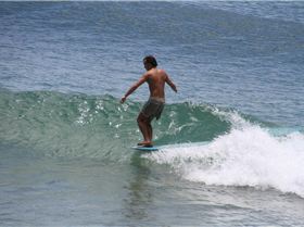 53467 4906150249895 537352664 o