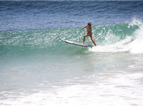 shak2288374 4905691838435 851423657 o