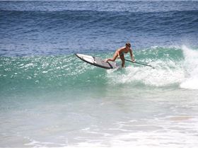 shak3410796 4905691958438 115095222 o