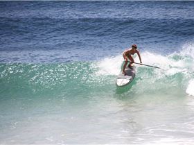 shak4333021 4905692118442 1473645170 o