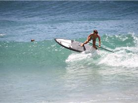 shak5413049 4905692838460 1347938300 o