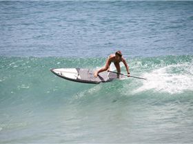 shak6615228 4905692958463 1024897029 o