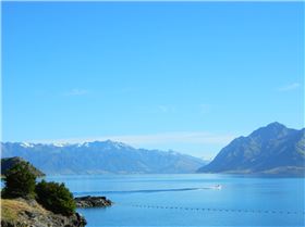 Wanaka to Haast 002