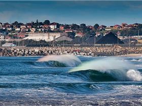 178012 465575150138249 388750219 o