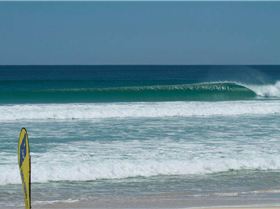 428126 10150676813124928 886668392 n