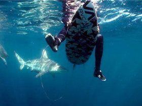 546242 186678378139528 1997099537 n