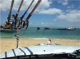 Michelles iPhone pics 350