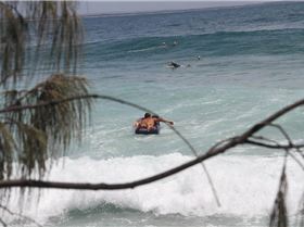 737414 10200114603246142 967012025 o