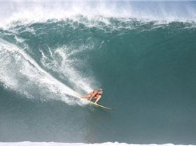 9419 133230992679 3519491 n