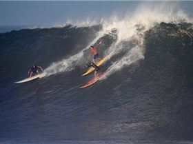 167800 1720345001786 1885034 n