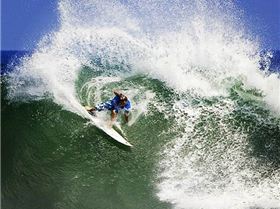 Pancho - Mexico 2006