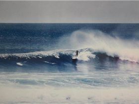 74655 513150972058686 1673743192 n