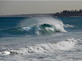 MAY  1408 006 CROP (Medium)