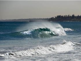 MAY  1408 007 CROP (Medium)