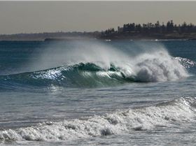 MAY  1408 009  CROP (Medium)