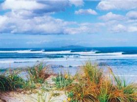 Screen Shot 2013-02-12 at 4.40.00 PM