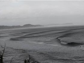 382256 10151347501619051 2008807079 n