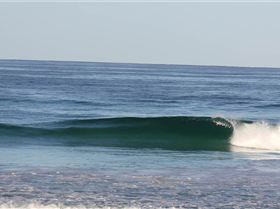 pinballs 02.03.13 010