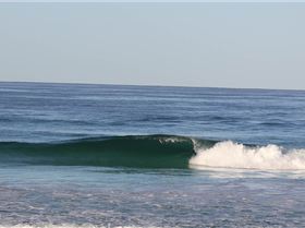 pinballs 02.03.13 011