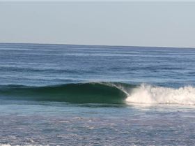 pinballs 02.03.13 012