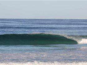 pinballs 02.03.13 024