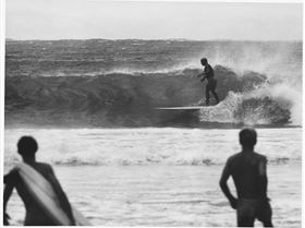 McTavishwindyNoosa 2009710153324