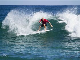 Living Legends Still Going Hard